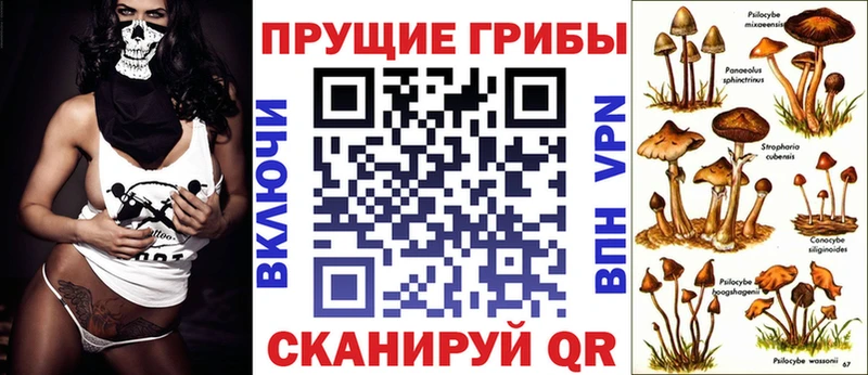 Псилоцибиновые грибы мицелий  Харабали 